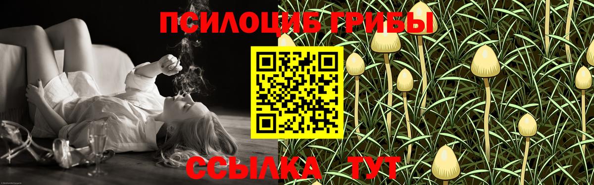 Псилоцибиновые грибы Psilocybine cubensis  Вход с VPN  Димитровград 