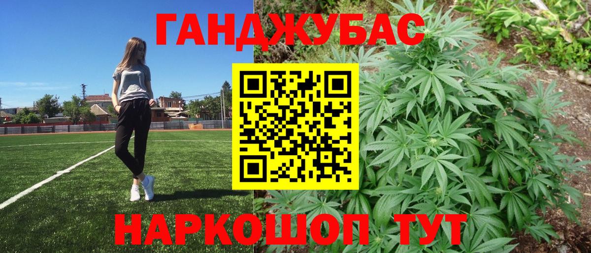 Конопля сатива  Бошки марихуана White Widow  Димитровград  Канабис план  Вход с VPN 